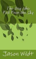 The Boy Who Fell From the Sky 1523214724 Book Cover