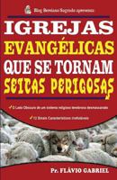 Igrejas Evangelicas que se Tornam Seitas Perigosas: O lado obscuro de um sistema religioso desmascarado 1976418410 Book Cover