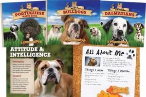 Dog Daze Set: Burly Bulldogs / 1616133759 Book Cover