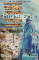 Mélimélo d'être: roman (écrit de 2011 à 2013) (French Edition) 233261351X Book Cover