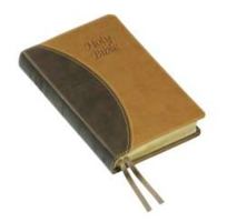 Holy Bible (Authorised King James Version) 1862283354 Book Cover