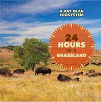 24 Hours in a Grassland 1502624826 Book Cover