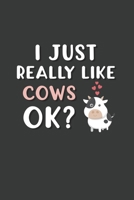 I Just Really Like Cows OK?: 6x9 Inch Journal Diary Notebook 110 Blank Lined Pages Cow Lover Gift Animal Lover 1661629695 Book Cover