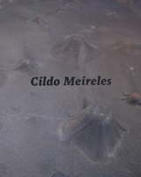 Cildo Meireles 1933045914 Book Cover