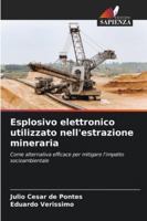 Esplosivo elettronico utilizzato nell'estrazione mineraria (Italian Edition) 6207836553 Book Cover