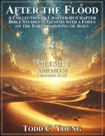 After the Flood: A Collection of Chapter-by-Chapter Bible Studies in Genesis with a Focus on the Foreshadowing of Jesus (Abraham) B0DYFY45CD Book Cover