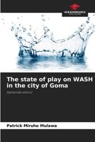 The state of play on WASH in the city of Goma: Kahembe district 6206036316 Book Cover