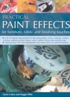 Practical Paint Effects: For Furniture, Fabric and Finishing Touches 1844762262 Book Cover