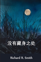 没有藏身之处: No Hiding Place, Chinese edition 1034454048 Book Cover