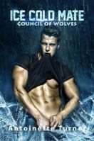 Ice Cold Mate 1625265948 Book Cover