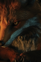 The Fox and Dragon (Paranormal) B0DRQKXFM7 Book Cover