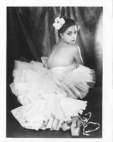 Cutting in 0953512304 Book Cover