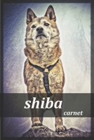 shiba carnet: Carnet de notes shiba inu ,cahier d'écriture shiba . Couverture de livre ....chien kawaii Shiba Inu 1653792205 Book Cover