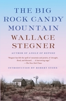 The Big Rock Candy Mountain 0140139397 Book Cover