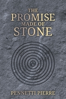 The Promise Made of Stone 1737064502 Book Cover