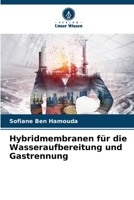 Hybridmembranen für die Wasseraufbereitung und Gastrennung (German Edition) 6209844553 Book Cover