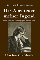 Das Abenteuer meiner Jugend (Großdruck) (German Edition) 3847840223 Book Cover