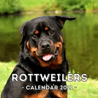 Rottweilers: 2021 Wall Calendar, Cute Gift Idea For Rottweiler Lovers Or Owners Men And Women B08QWYJR4N Book Cover