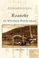 Roanoke in Vintage Postcards (VA) 073851439X Book Cover