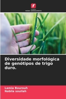 Diversidade morfológica de genótipos de trigo duro. (Portuguese Edition) 6200675759 Book Cover