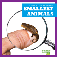 Smallest Animals B0CVMRTF5Y Book Cover