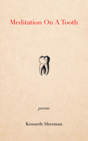 Meditation on a Tooth 1771839589 Book Cover