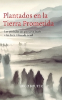 Plantados en la Tierra Prometida: Las profecías del patriarca Jacob a las doce tribus de Israel B0FSCZB6M2 Book Cover