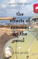 The Effects of Summer on the Soul 1691881333 Book Cover