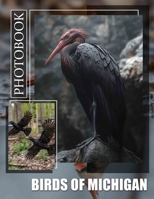 Birds of Michigan Photo Book: Explore The Avian Diversity Of Michigan Through 40 Stunning Images And Captivating Details B0DPXLHD1B Book Cover