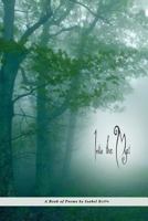 Into the Myst: A Book of Poems 1492909343 Book Cover