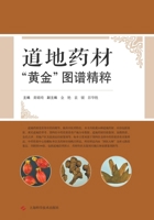 ????"??"???? (Chinese Edition) 754783504X Book Cover