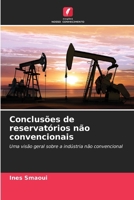 Conclusões de reservatórios não convencionais (Portuguese Edition) 620954312X Book Cover