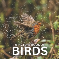 A Picture Book of Birds: A Beautiful and Calming Photo Book for Seniors, Memory Care, and Bird Lovers – Designed to Bring Joy, Relaxation, and Gentle Engagement B0GW7GTQCG Book Cover