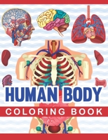 Human Body Coloring Book: Human Body Coloring & Activity Book for kids.Medical Anatomy coloring book for kids boys girls. Human Brain Heart Liver ... Anatomy kids book. Children's Science Books. B08NR9TDT2 Book Cover