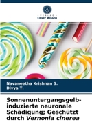 Sonnenuntergangsgelb-induzierte neuronale Schädigung; Geschützt durch Vernonia cinerea 6203606472 Book Cover