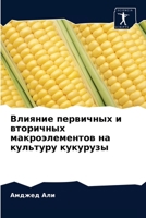 Влияние первичных и вторичных макроэлементов на культуру кукурузы 6202915293 Book Cover