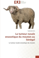 La Tumeur Nasale Enzootique Du Mouton Au Sa(c)Na(c)Gal 6131582556 Book Cover