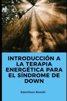 Introducción a la Terapia Energética para el Síndrome de Down B0CH2FPHYG Book Cover