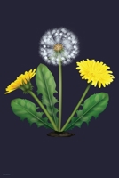 Dandelion: Garden Journal Dandelion Lined Notebook 1076879683 Book Cover