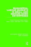 Managerial Labour Markets in Small and Medium-Sized Enterprises (Small Business) 1138683973 Book Cover