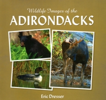 Wildlife Images of the Adirondacks 1595310266 Book Cover
