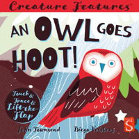 An Owl Goes Hoot! 1912904985 Book Cover