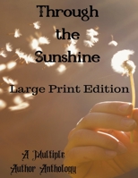 Through the Sunshine 1386385360 Book Cover