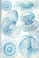 Haeckel scientific biological art notebook: Vintage Science Illustrations N°36 from "Kunstformen der Nature" / "Art forms in nature" ; composition journal with 120 pages of blank graph paper 1796315737 Book Cover