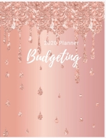 2020 Budgeting Planner: Luxury Pastel Monthly Planner : 2020 Monthly Financial Budget Planner: Bill Organizer Notebook : Weekly & Monthly Calendar ... Monthly Bill Organizer & Expense Tracker) B07Y4LM6QV Book Cover