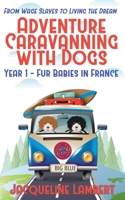 Year 1 - Fur Babies in France: From Wage Slaves to Living the Dream 1999357612 Book Cover