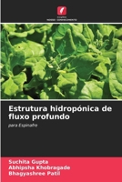 Estrutura hidropónica de fluxo profundo (Portuguese Edition) 620786476X Book Cover