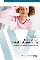 Analyse der Flüssigkeitsströmung 6202228504 Book Cover