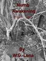 Numb Awakening Part One B0H82VJ6NN Book Cover