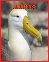 Albatross: Amazing Pictures and Facts About Albatross B08VYJKKGT Book Cover